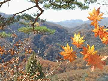 秦发集团最新动态